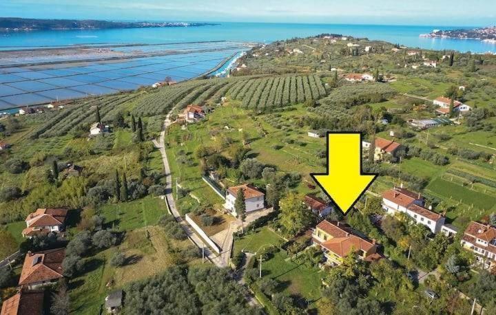 Vista Del Sal Appartement Portorož Buitenkant foto